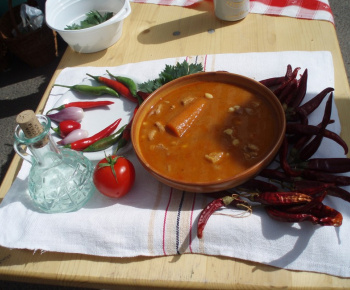 Druhá družobná návšteva mesta Tura