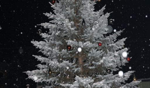 Jasovský vianočný stromček 2012 
