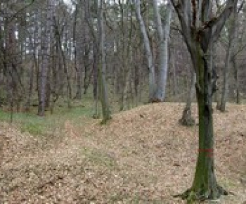 História / Jasovský hrad - foto História / Jasovský hrad - foto