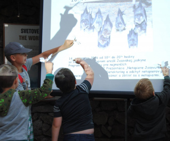 Noc netopierov 2016