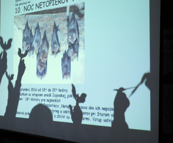 Noc netopierov 2016