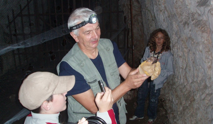 13. fotografia fotogalérie Noc netopierov v Jasove