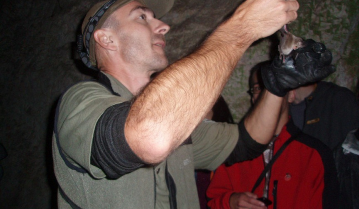 19. fotografia fotogalérie Noc netopierov v Jasove