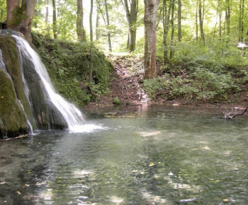 Príroda / Jasovské rybníky - foto