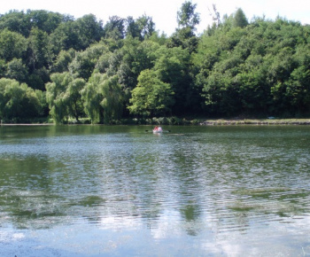 Príroda / Jasovské rybníky - foto