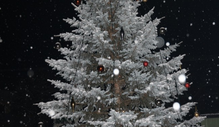 1. fotografia fotogalérie Jasovský vianočný stromček 2012