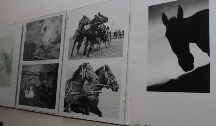 22. fotografia fotogalérie Vernisáž fotografií Petra Szilvássyho v Miestnom kultúrnom stred