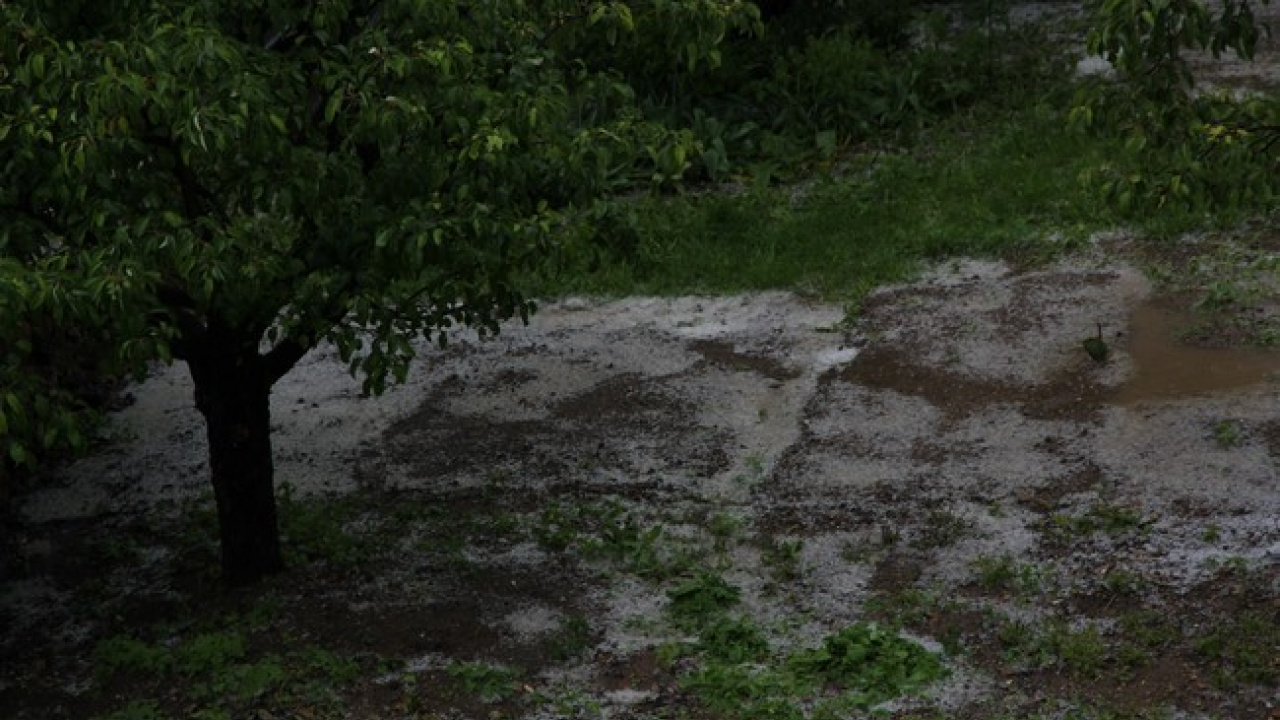 Fotografia fotogalérie  Kalamita v Jasovských dubinách