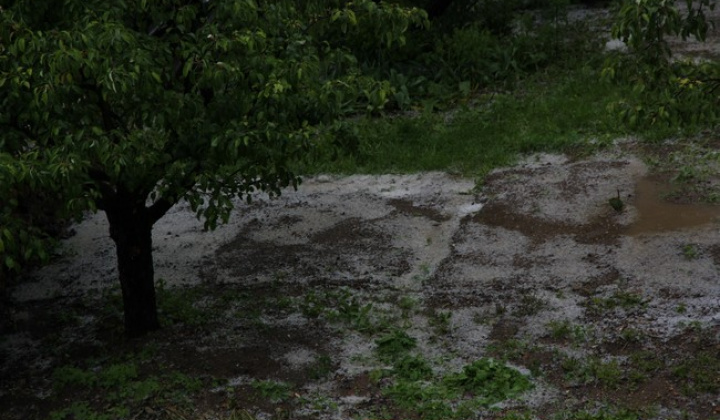 1. fotografia fotogalérie  Kalamita v Jasovských dubinách