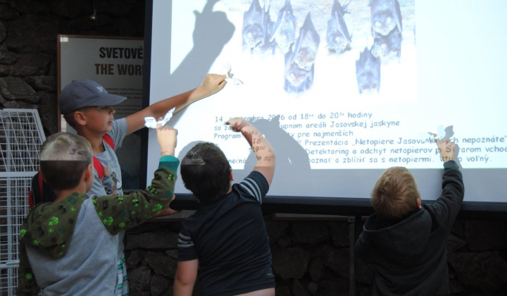8. fotografia fotogalérie Noc netopierov 2016