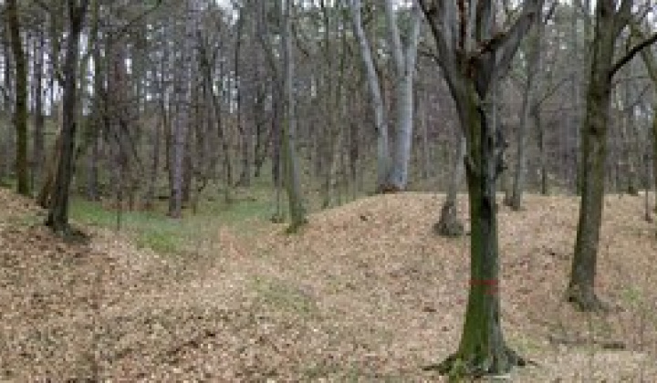 2. fotografia fotogalérie História / Jasovský hrad - foto