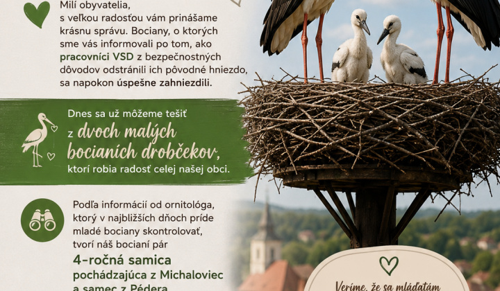 Fotka - Oznam - Bociany